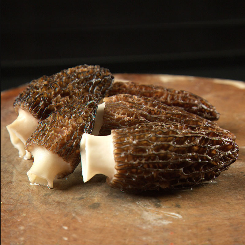 云南特产新鲜羊肚菌鲜货羊肚菌菇羊肝菌煲汤食材羊肚菇非野生菌菇