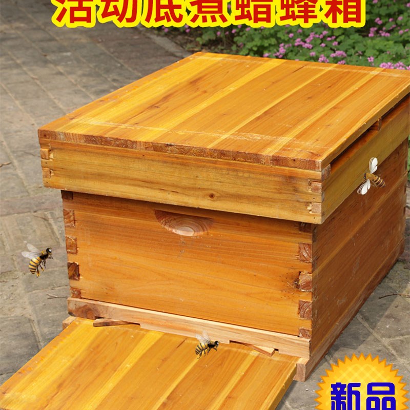 蜂桶方形蜂箱中蜂标箱十框标准a中蜂10框全套装带框巢础养蜂工具