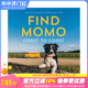 【现货】寻找莫莫：海岸线Find Momo Coast To Coast 网红狗狗摄影集 儿童互动书 英文原版进口图书