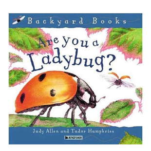 【预售】英文原版 Are You A Ladybug?  你是瓢虫吗? 3-6岁 亲子英语儿童进口绘本 善优童书