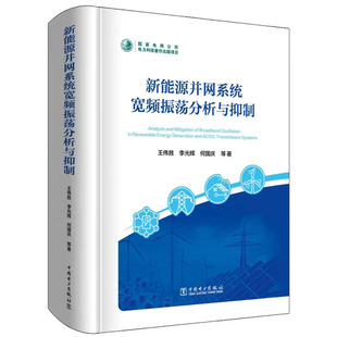 新能源并网系统宽频振荡分析与抑制 伟胜 著 中电力出版社