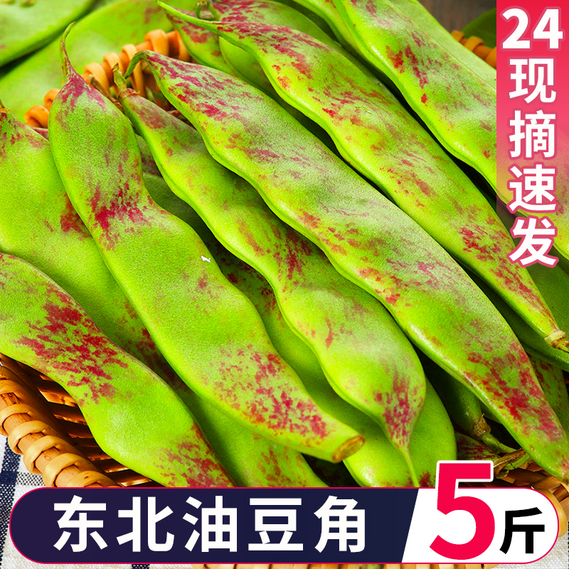 东北油豆角现摘新鲜5斤蔬菜黑龙江一