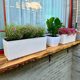 阳台花盆种菜神器长方形花箱懒人自吸水种植箱护栏架悬挂花盆塑料