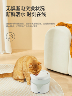 猫咪轻音智能饮水机自动循环喝活水宠物通用狗狗饮水器松下滤芯