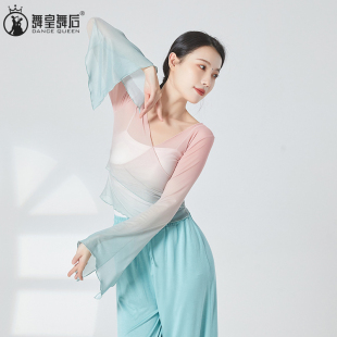 2024夏古典舞练功服身韵服纱衣中国舞舞蹈服女飘逸上衣形体演出服