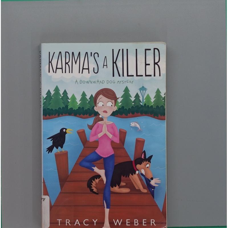 Karma\'s a Killer by Tracy Weber平装Midnight Ink因果报应是个杀手