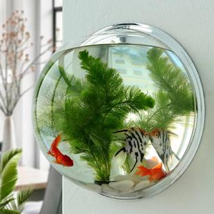 现货速发半圆形花盆挂墙墙上鱼缸壁挂式玻璃花盆水培透明客厅挂饰