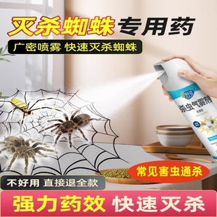 日本家用杀蜘蛛专用药非无毒灭防蜘蛛杀虫剂喷雾驱虫除虫神器室内