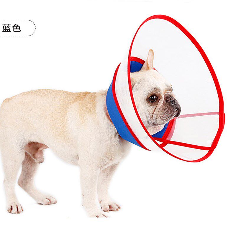 宠物脖辱伊丽莎白圈猫咪项圈狗狗头套防咬防舔防抓宠y物耻用圈圈