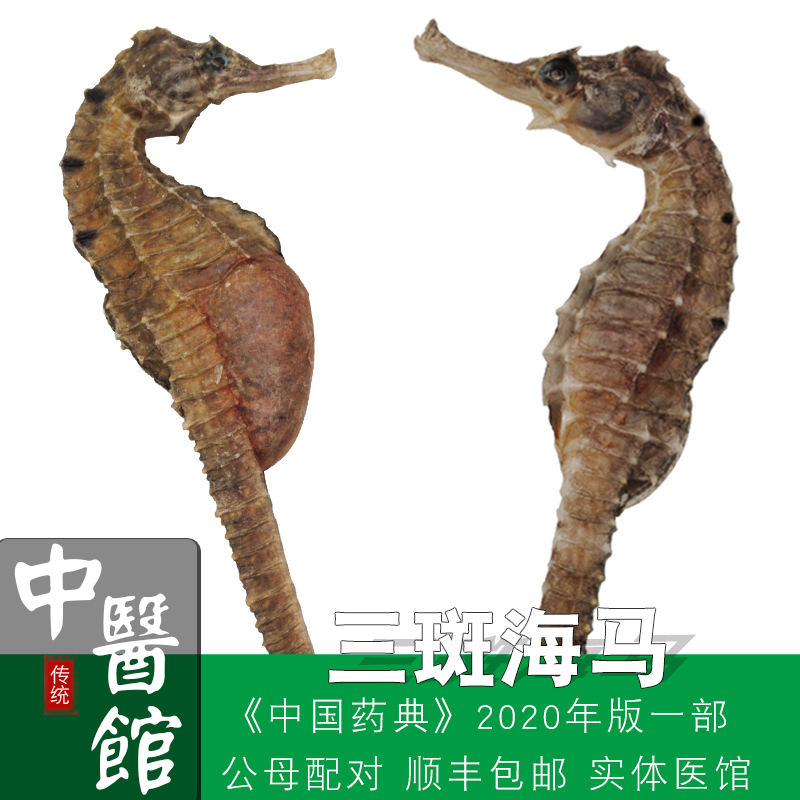 海马干货中药材温肾补阳中药材店铺海马鱼一对公母中药材泡酒料|msdalam kategori makanan berkhasiat tradisional, 滋补经典方 - dari Buy2taobao.com untuk memberikan perkhidmatan ejen Taobao profesional membeli