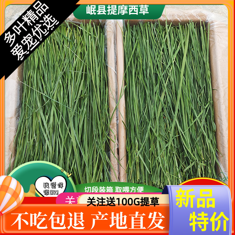 新23精品烘干提摩西草北提毛重1KG提草兔子草荷兰猪龙猫牧草岷县