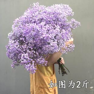 大束满天星干花花束真花鲜花论斤卖家用客厅摆件装饰插花中秋礼物