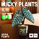 超级植物logaloga毛绒盆栽桌面创意生日植物玩偶毕业礼物伴手礼