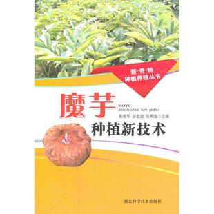 魔芋种植新技术