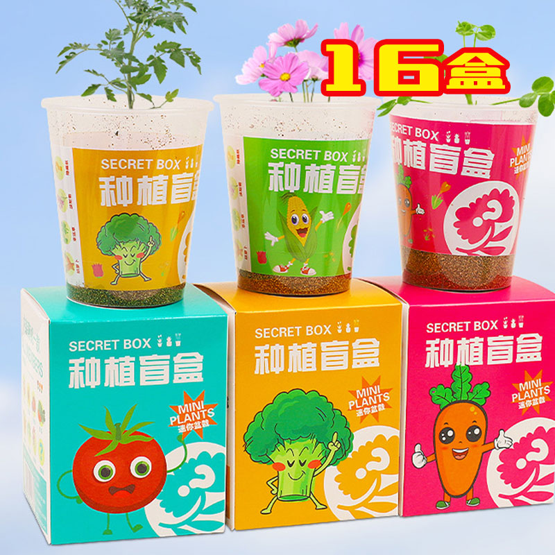 生日创意礼品小学生植物盲盒伴手礼幼