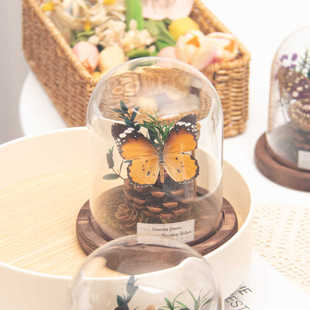 玻璃罩真蝴蝶标本植物干花装饰桌面摆件送女生日礼物情人节毕业季