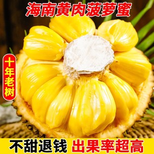 黄肉菠萝蜜一整个新鲜水果包邮当季海南干苞红波罗蜜整箱20-40斤