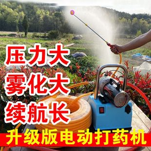 12V农用电动喷雾器手提式果树打药机60高压72消毒神器220伏柱塞泵