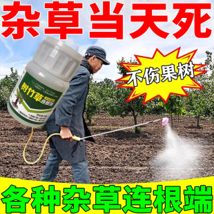 环泰铜除草烂根剂一扫光三年不长草除草剂强力烂根农药除草神器