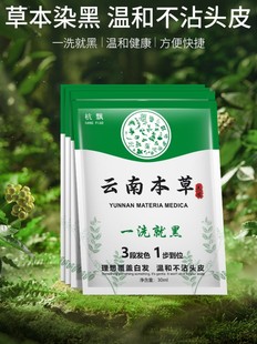 染发剂自然黑色袋装泡泡植物天然无刺激官方正品男女盖白纯染发膏