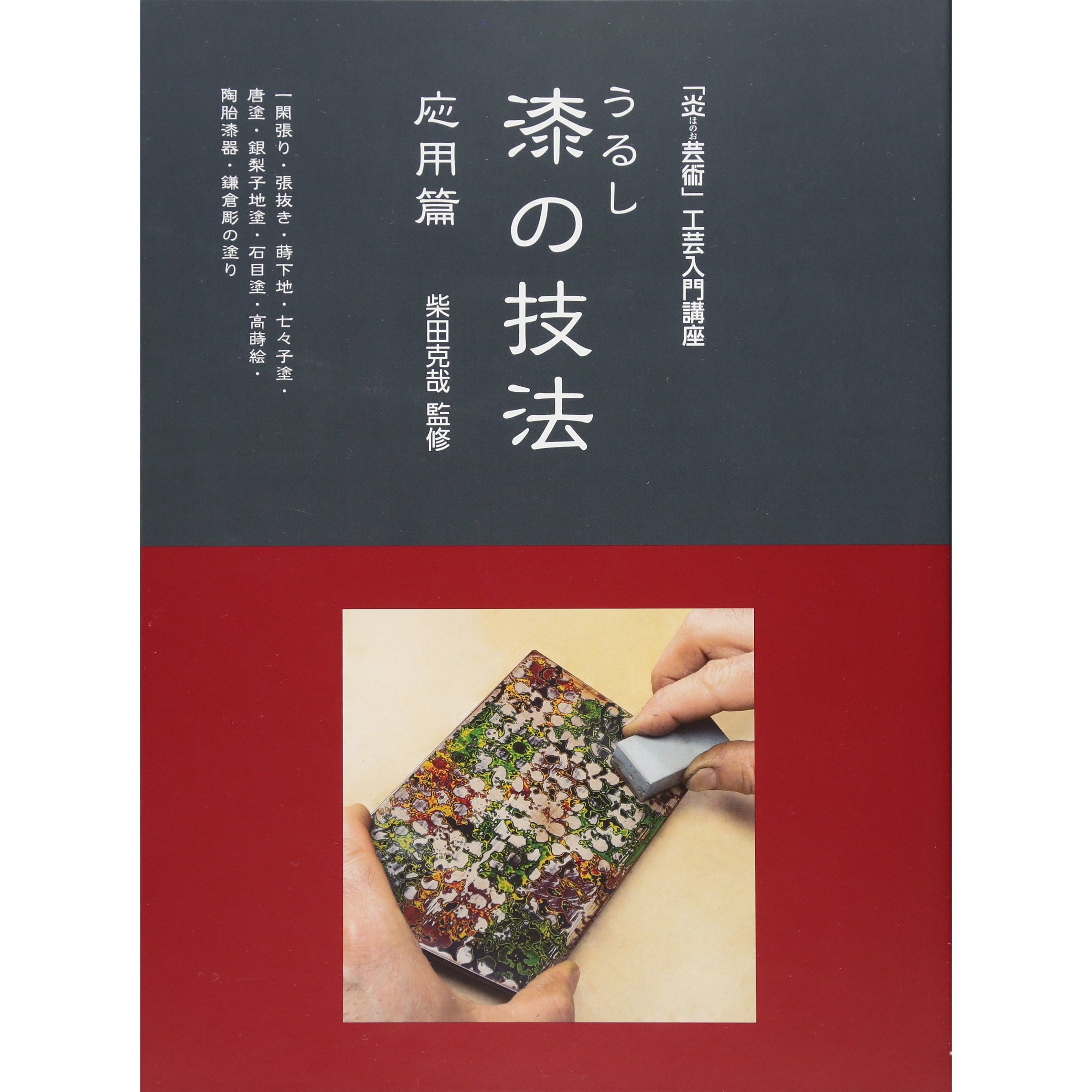 现货 日文版 漆の技法 応用篇 (「炎芸術」工芸入門講座)  日本陶艺漆器艺术书 柴田克哉