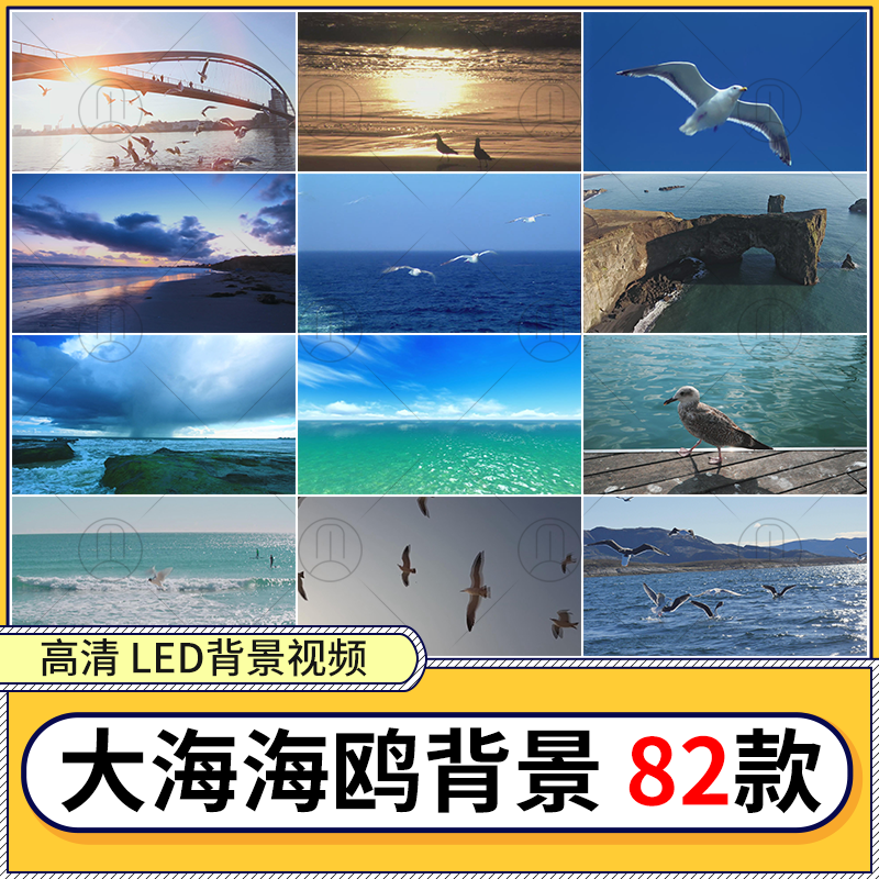 蓝天白云大海沙滩海浪海鸥海上短视频海洋led大屏幕视频背景素材