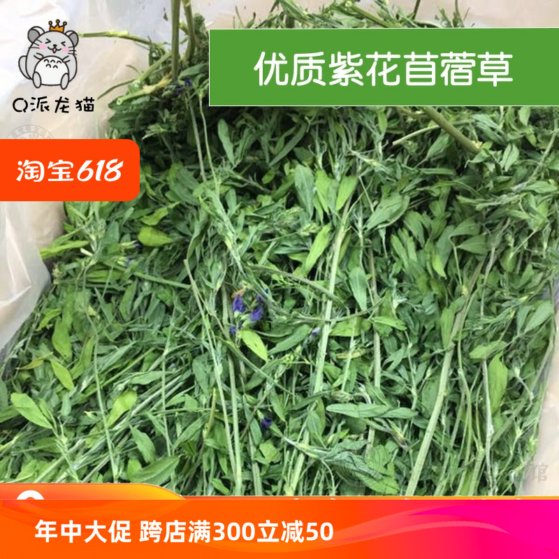 24年新草 烘干紫花苜蓿草 毛重1kg箱装兔子豚鼠龙猫牧草苜蓿干草