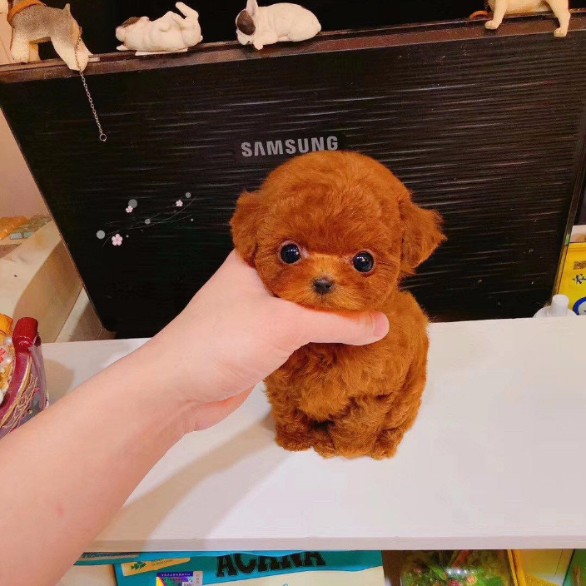 豭Ȯ۸豭ȮǮ豭_豭ȮǮ_ڹ豭Ȯ