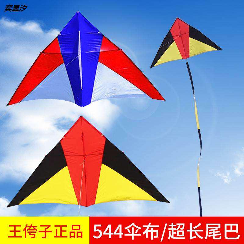 潍坊新款王侉子风筝大人高档大型碳杆伞布三角长尾微风王