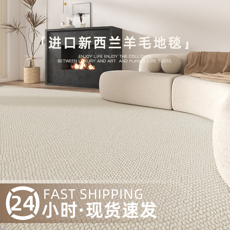 新西兰进口  羊毛地毯客厅茶几纯色素色轻奢高级日式侘寂极简2024