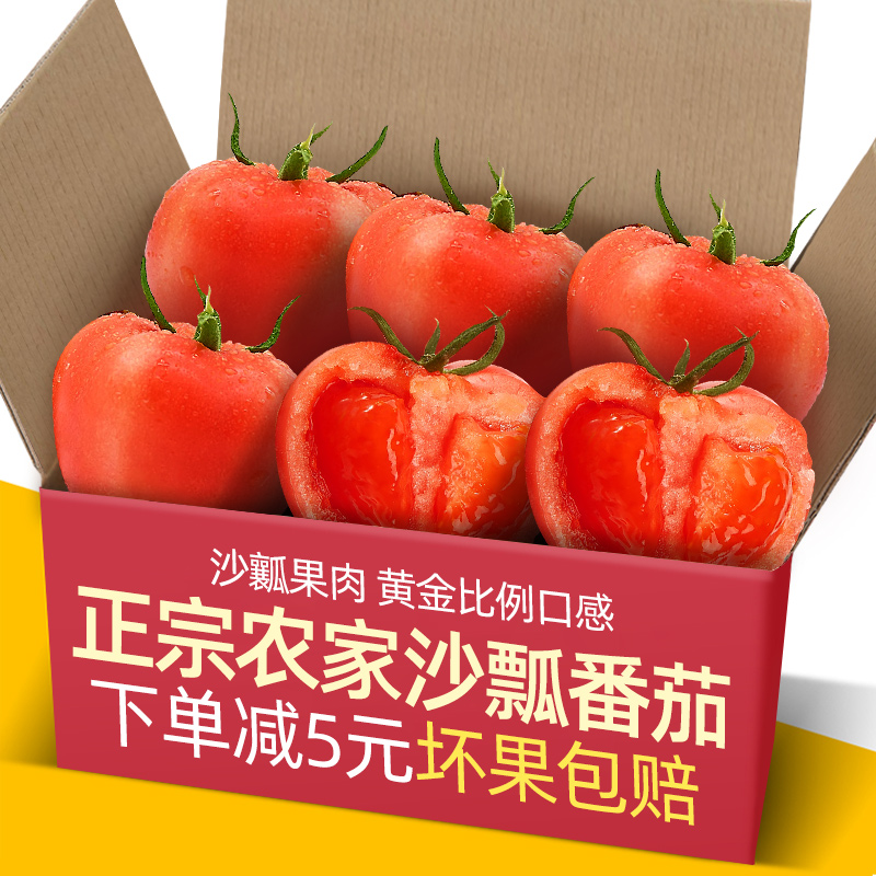 新鲜现摘正宗云南沙瓢番茄5-9斤装