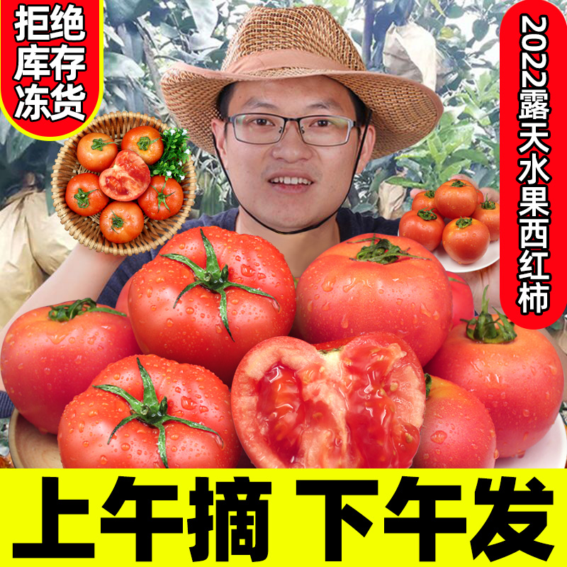 正宗农家自然熟沙瓤番西红柿5-9斤