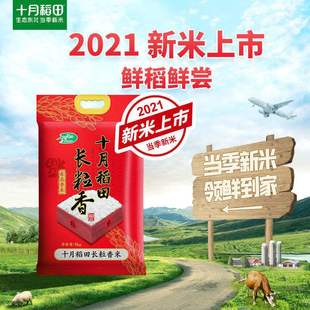 新米上市 十月稻田长粒香大米 5kg东北大米10斤粳米