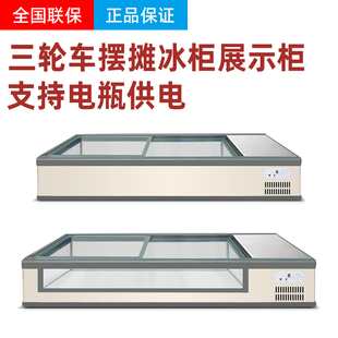 笙雪台式烧烤炸串熟食冷藏柜冷冻柜展示柜三轮车移动摆摊冰柜商用