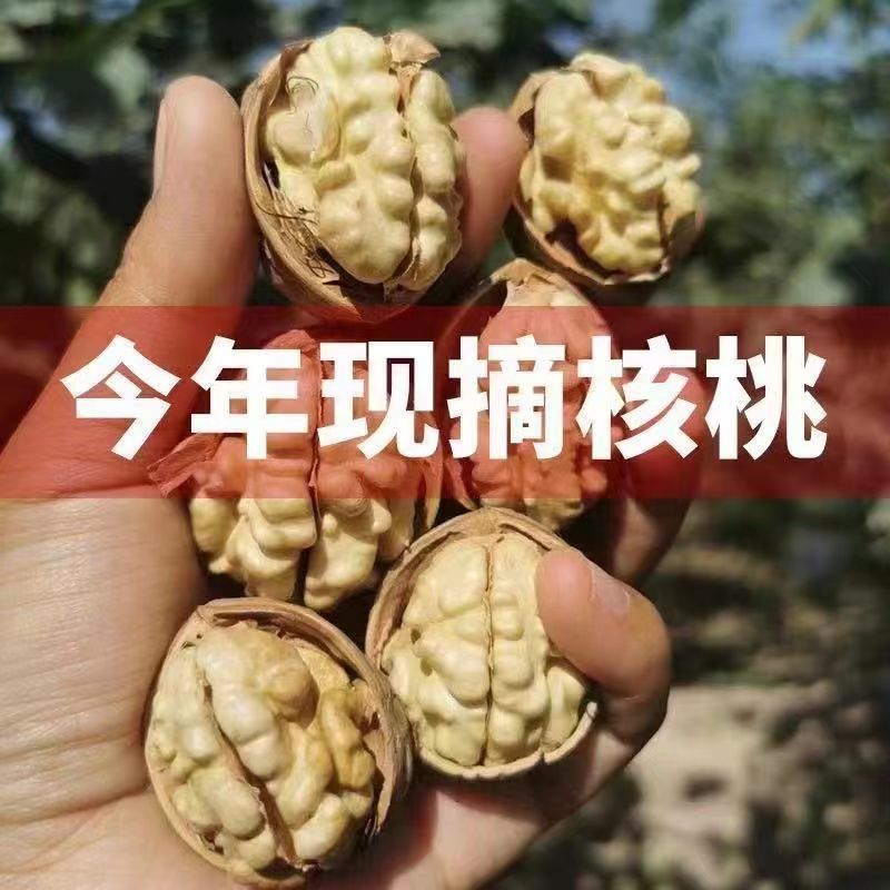 23年新货新疆薄皮核桃坚果非纸皮核