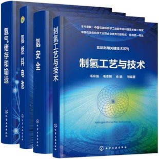 【全4册】氢能利用关键技术系列 氢能利用关键技术系列 氢安全+氢燃料电池+氢气储存和输运+制氢工艺与技术