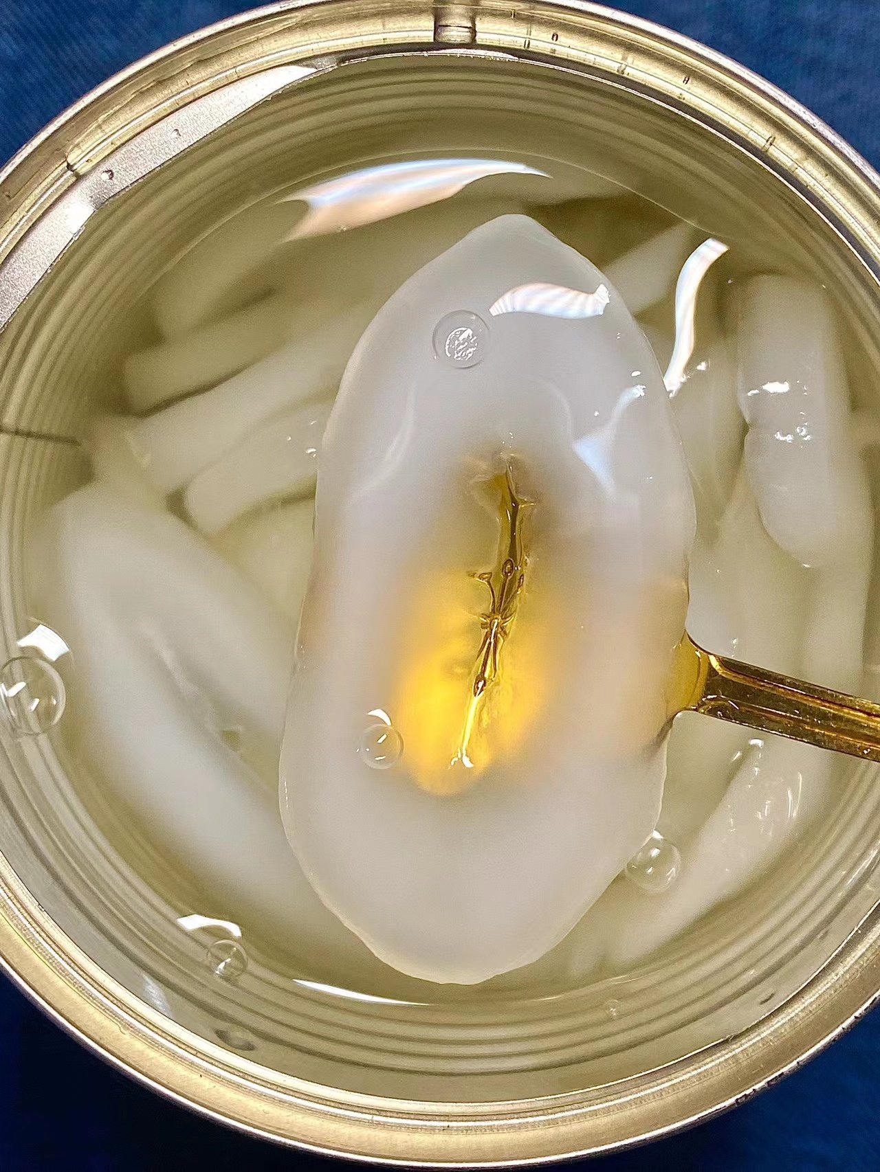 泰国糖水海底椰罐头水妈妈海底椰567g白玉丹罐头甜品西米露奶茶店