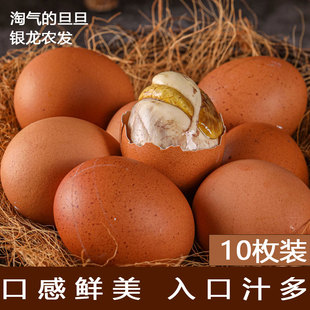 淘气的旦旦活珠子新鲜13天鸡胚蛋钢化蛋毛鸡蛋五香10枚5月6日生产