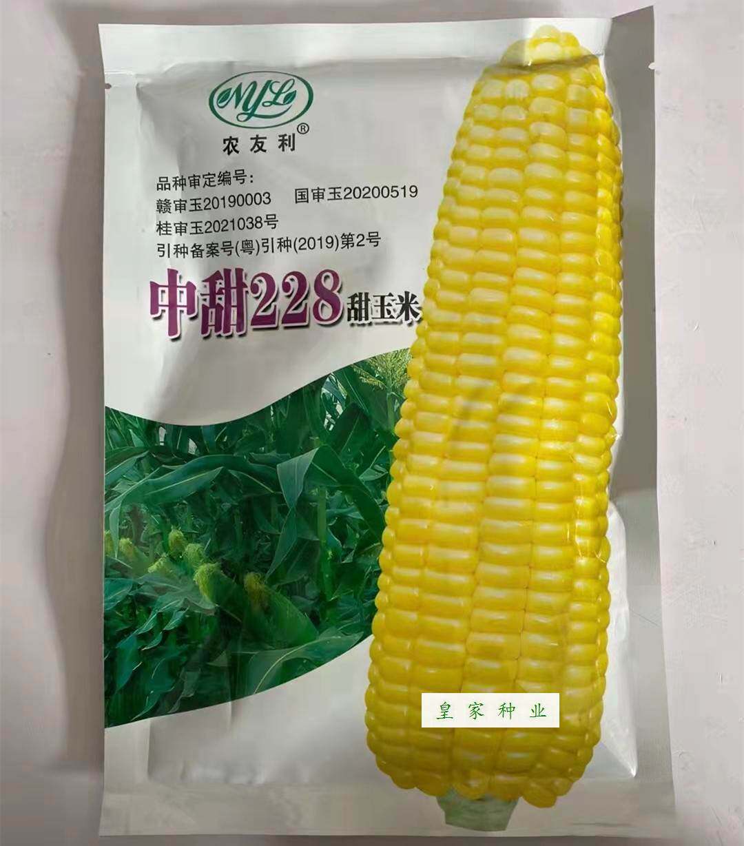 03淘宝新品种富6彩甜号糯玉高米子食米鲜晓基糯玉大甜棒粘米种籽玉非