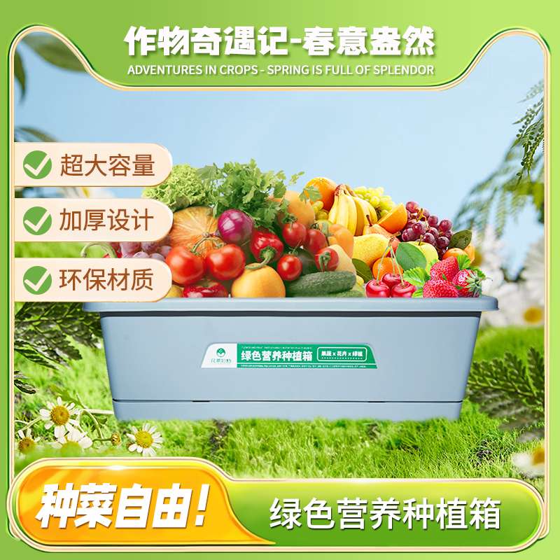 家庭盆栽食用四季种植室内外阳台蔬菜生菜油菜白菜种植箱种菜专用