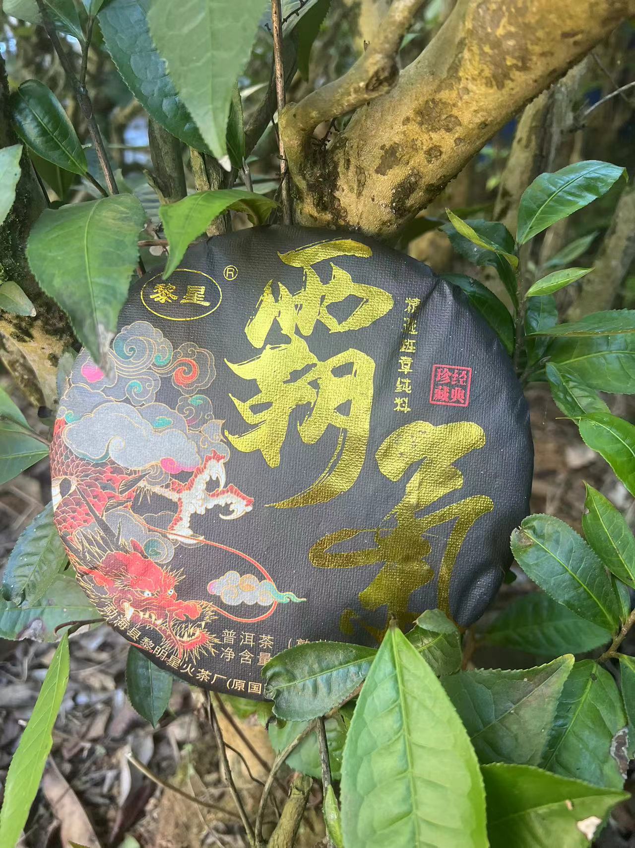 黎明星火茶厂/2018年 霸气 班章 357克 熟茶