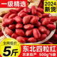红皮花生米2024年东北农家新货不带壳四粒红新鲜小粒生红衣花生仁