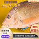 【刺身级- 红鸡鱼】养殖鲷鱼刺身红鳍笛鲷鱼清甜整条加工净肉300g