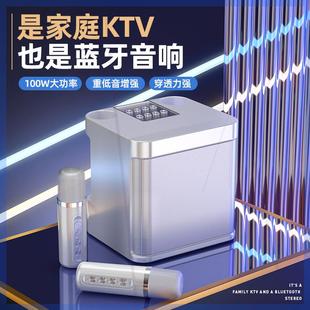 YS203话筒音响一体蓝牙麦克风专业带k歌声卡家用ktv户外唱歌