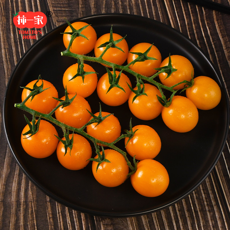 柿一家串收樱桃番茄黄宝石123g*8盒新鲜水果小西红柿零食千禧果