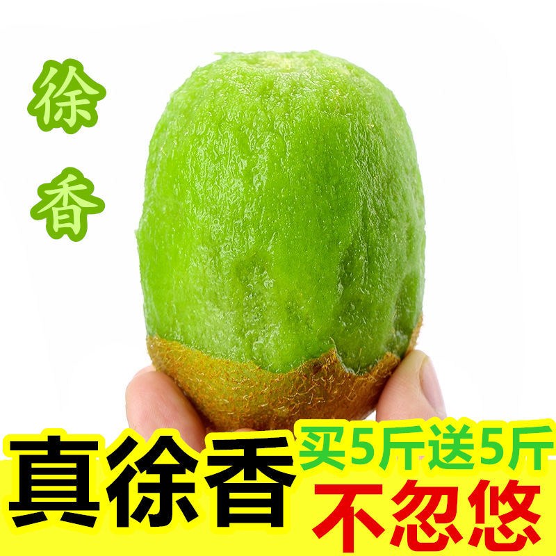 徐香猕猴桃正宗江山