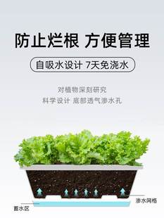 阳台种菜盆神器家庭挂式长方形花盆塑料蔬菜种植箱草莓盆栽专用箱