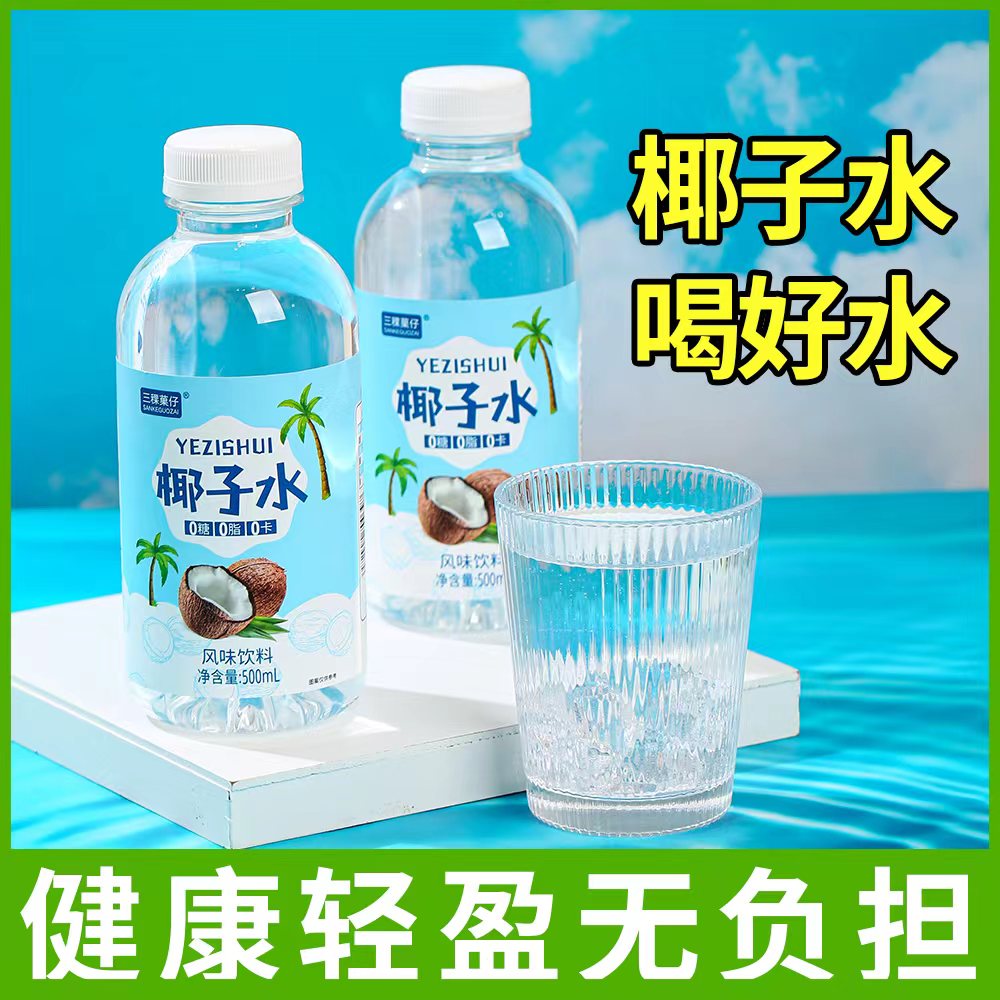 整箱15大瓶椰子水椰汁海南风味饮料