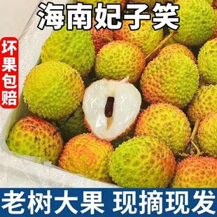 海南妃子笑荔枝新鲜水果当季整箱批发时令大果3斤5斤现摘现发荔枝