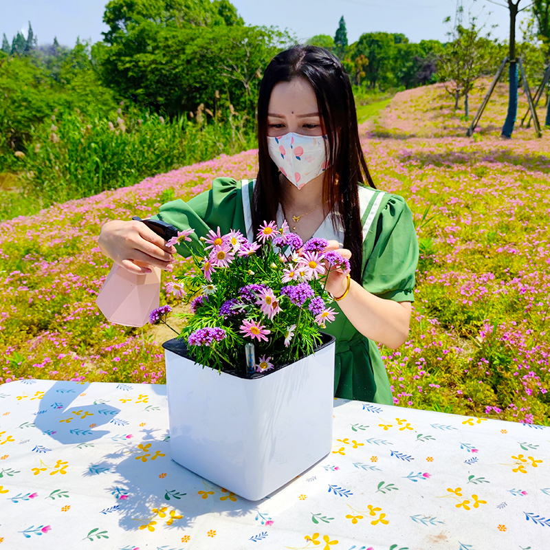 白色方形塑料花盆懒人自动吸水花盆绿萝吸水大号加厚耐用厂家直销